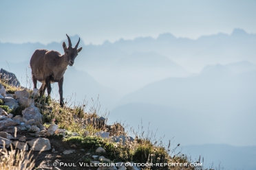 vercors-veymont15-215