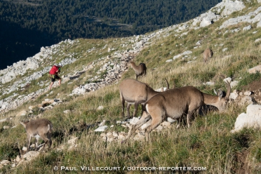 vercors-veymont15-301