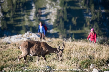 vercors-veymont15-316