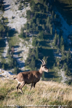 vercors-veymont15-328