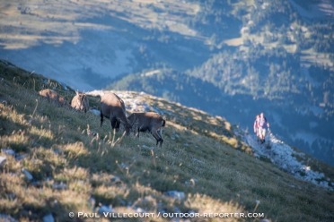 vercors-veymont15-359