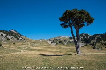 vercors-veymont15-546