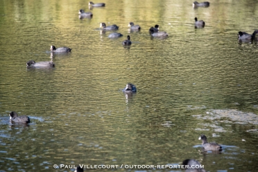 villecourt-tourdegironde-A-533