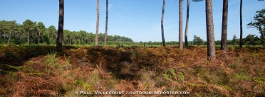 villecourt-tourdegironde-B-50