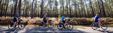 villecourt-tourdegironde-B-59-2